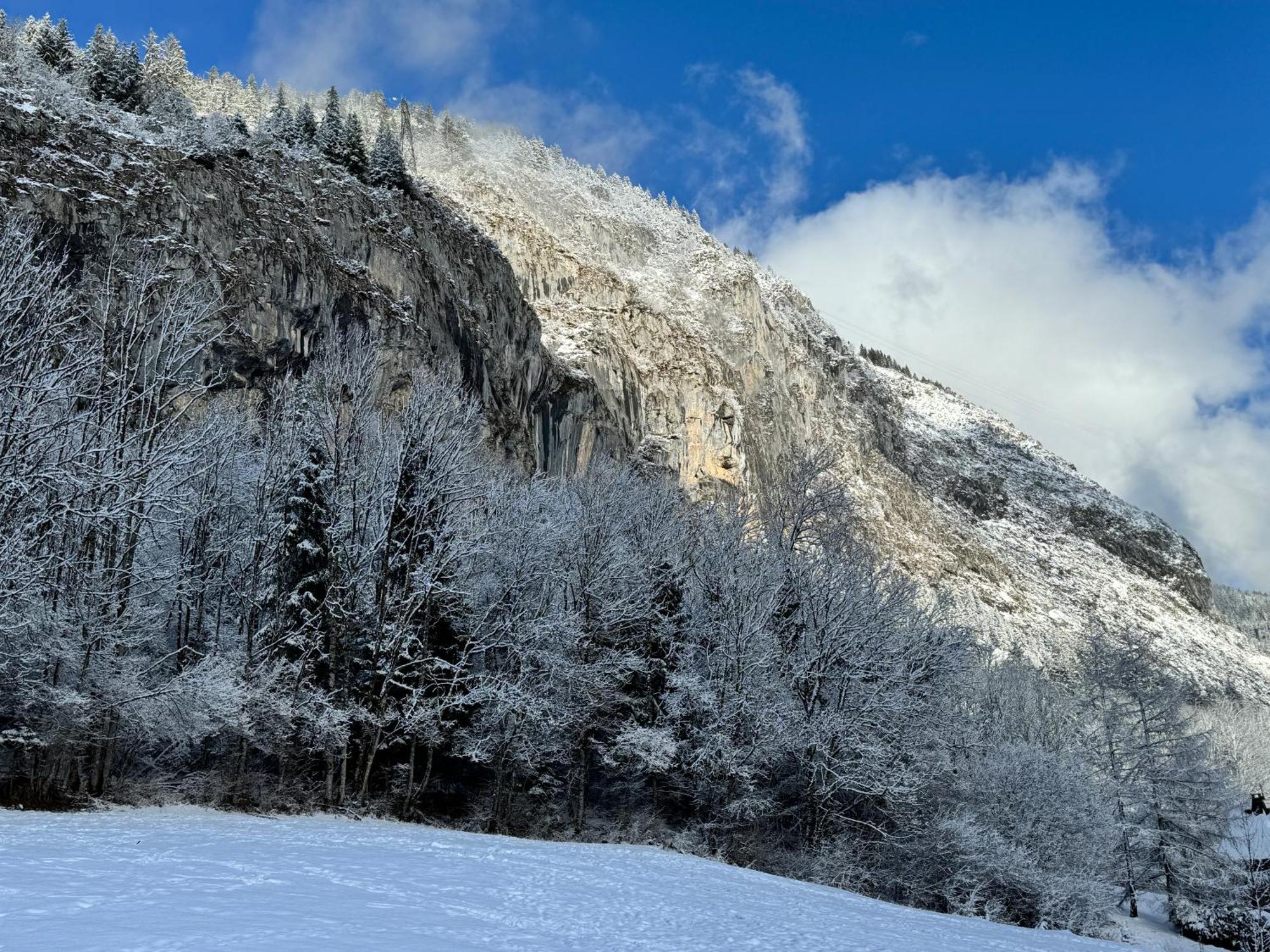 Appartement Cosy Proche Chatel Portes Du Soleil - Linge Inclus Abondance Exterior photo